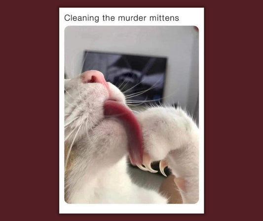 Murderous Cats!
