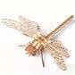 3D Wooden Model Kit - Insects