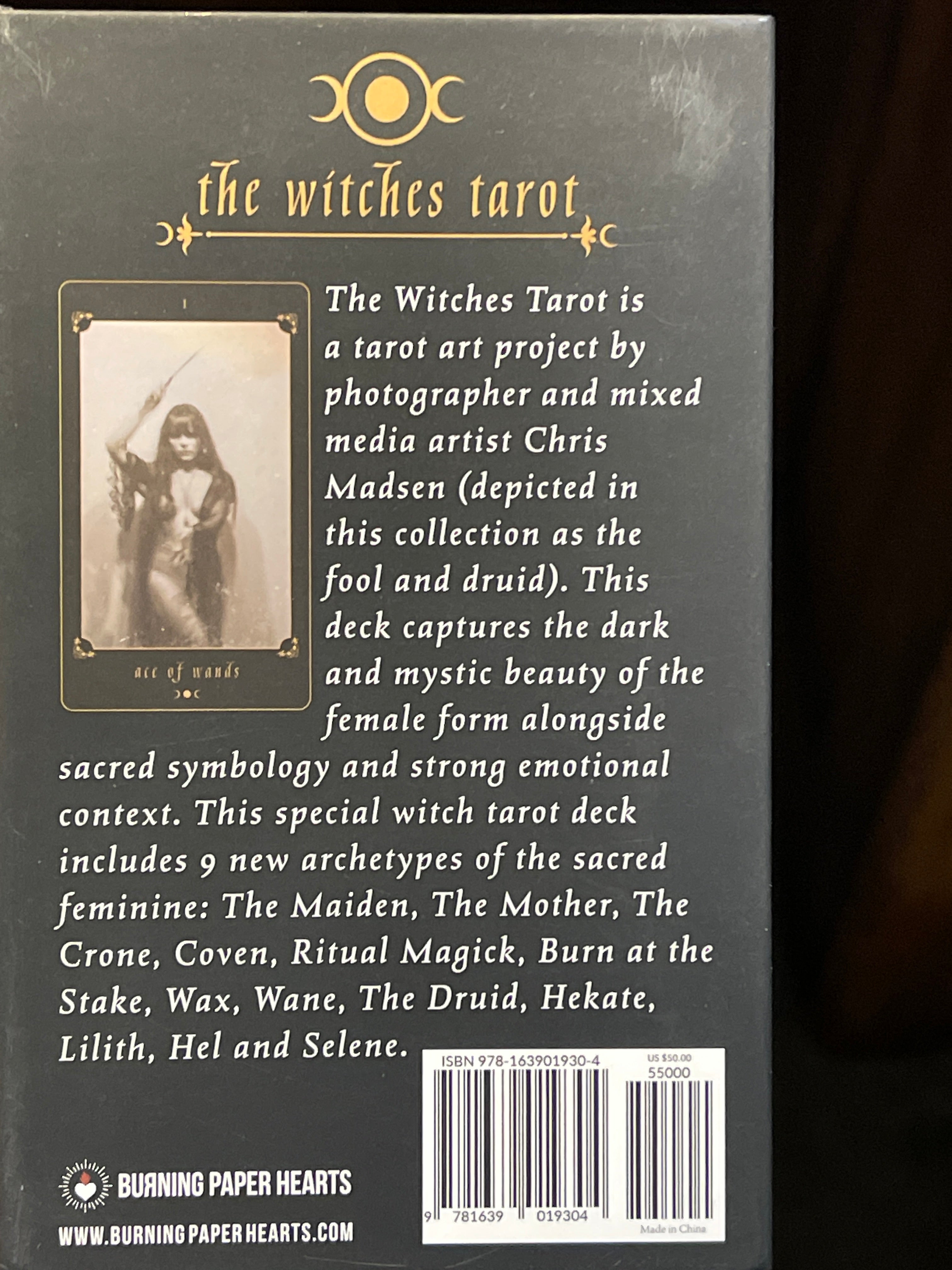 Rental - the Witches Tarot by artist Chris Madsen