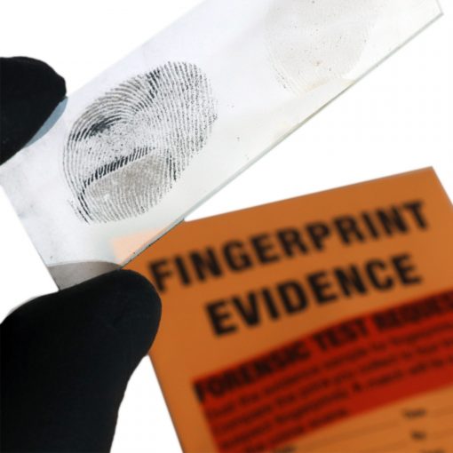 Forensic Science Kit: The Missy Hammond Murder