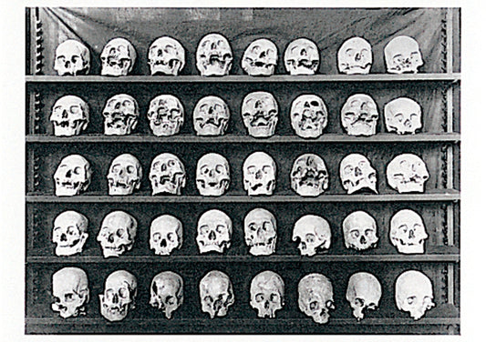Dead Heads Postcard - Conundrum House