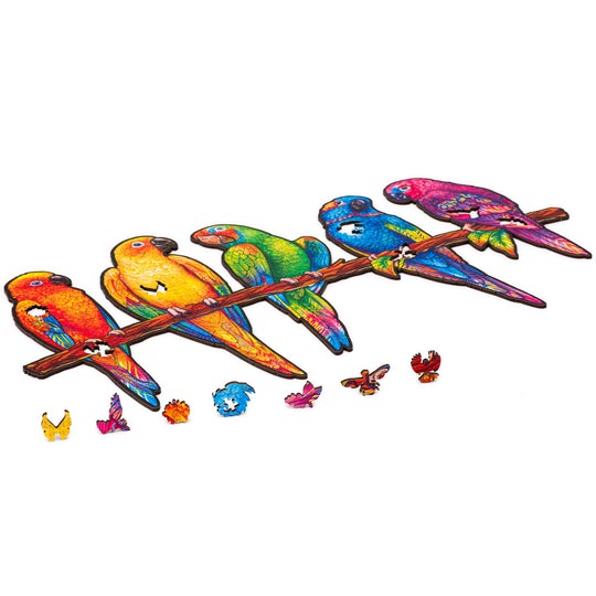 Rental - Unidragon: Playful Parrots 5 in 1 RS